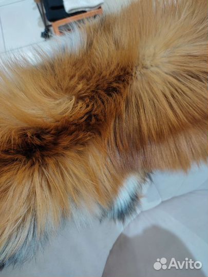 Шкура лисы