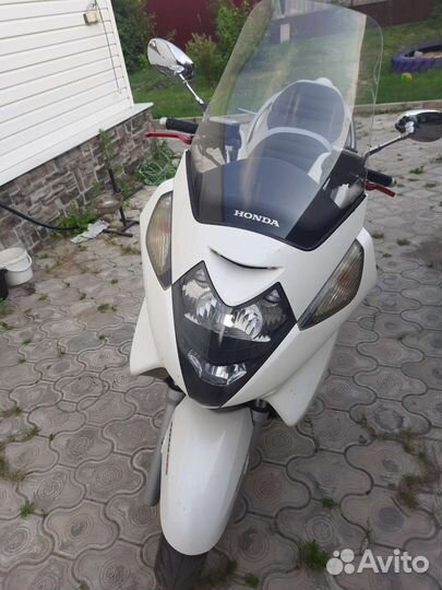 Максискутер