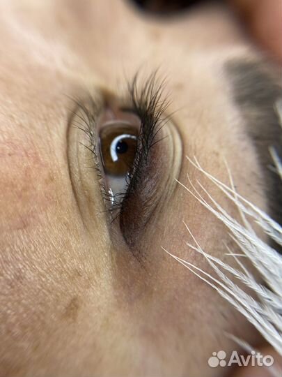 Пудровое напыление бровей, век и губ