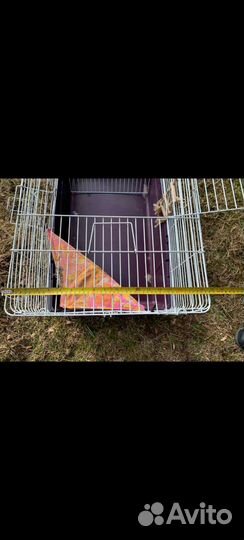 Клетка для грызунов
