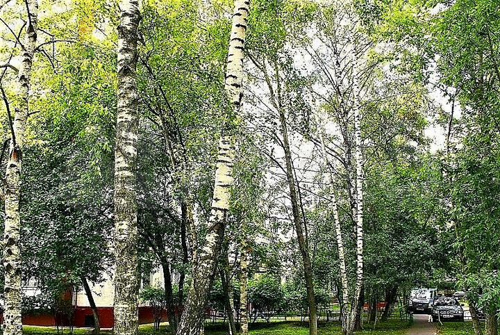 Комната 20 м² в 3-к., 3/9 эт.