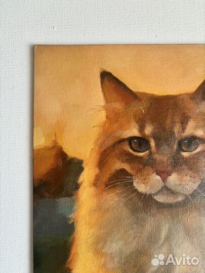 Рыжий котик. Картина маслом