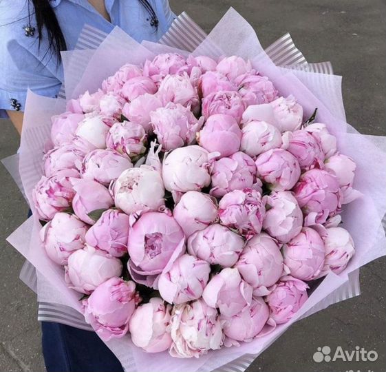 Пионы от производителя. Срочная доставка 24/7