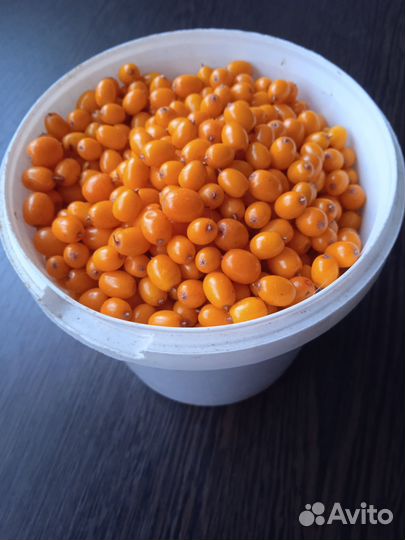 Продам облепиху