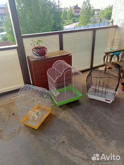 Клетка для попугая
