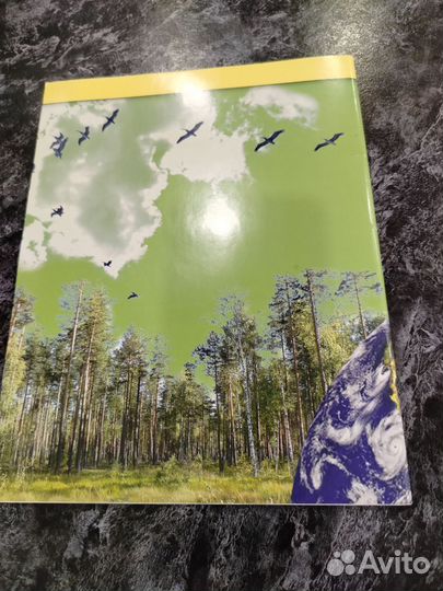 Введение в экологию наша прекрасная планета 1класс