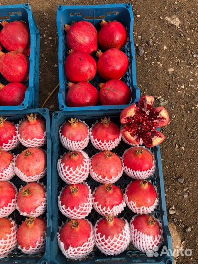 Гранат оптом