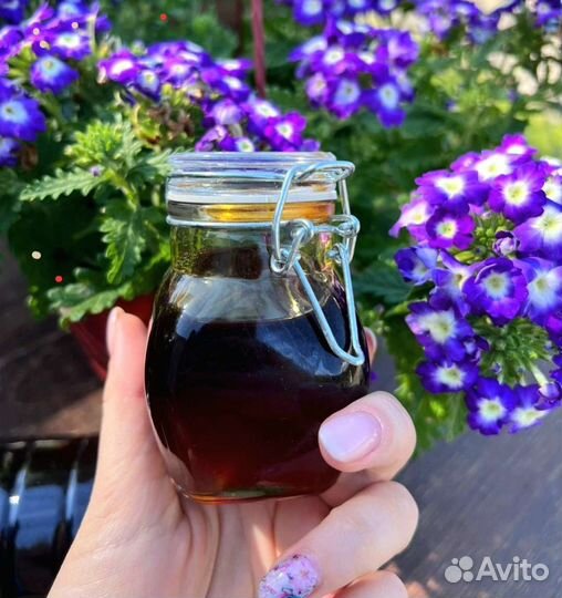 Мед каштановый