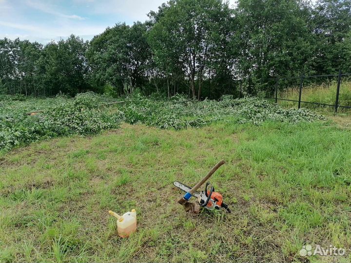 Покос травы и многие другие хоз. работы на участке