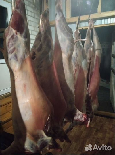 Мясо баранина халяль