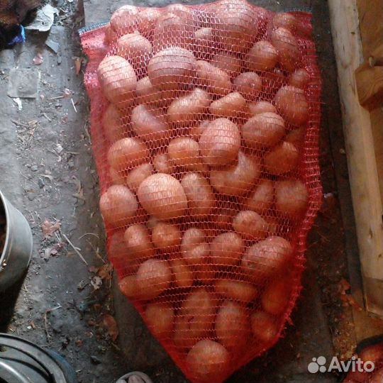 Доставка продуктов