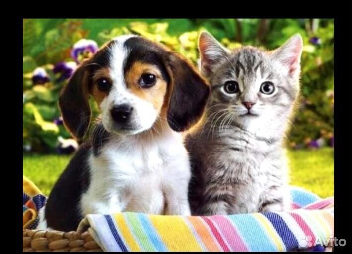 Алмазная мозаика