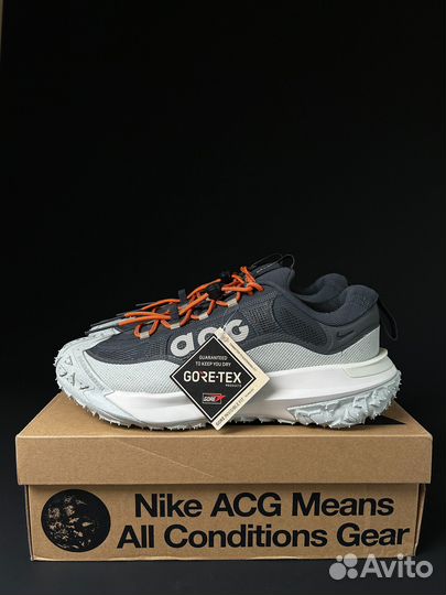 Кроссовки Nike ACG Mountain Fly 2 Low gore-TEX 'Da