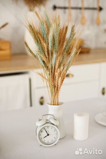 Аренда фотостудии