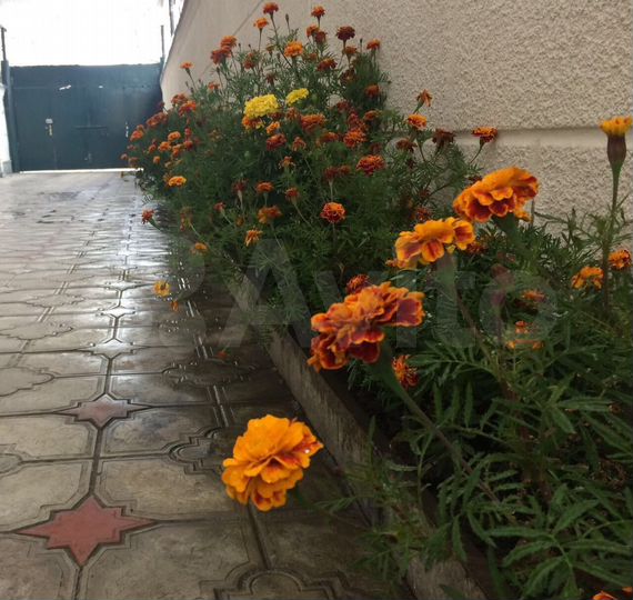 Дом 370 м² на участке 4 сот.