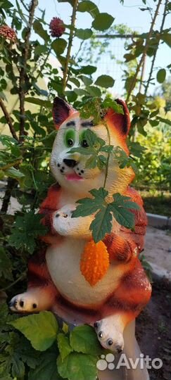 Момордика, клубника, гибискус, гортензия