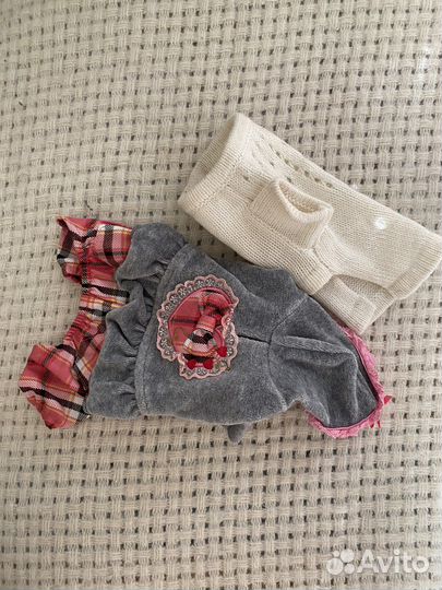 Одежда для животных