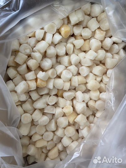 Свежая рыба морепродукты