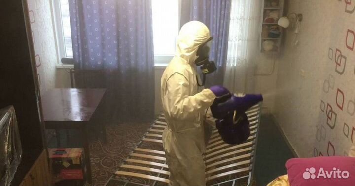 Средство для Уничтожения клопов травли тараканов, блох