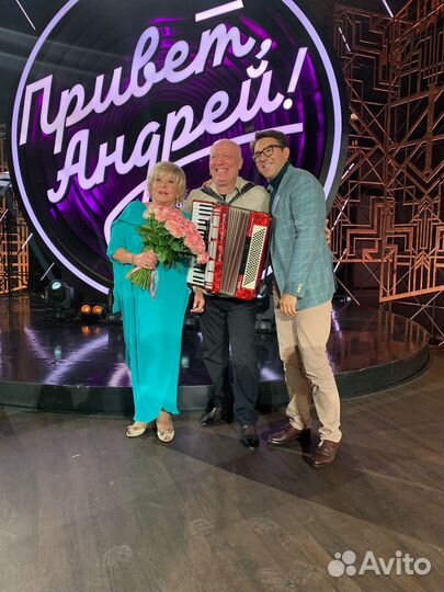 Аккордеонист (гармонист, баянист).Застольные песни