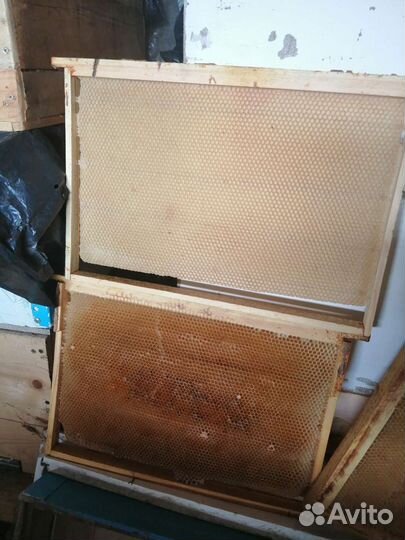 Рамки с сушью