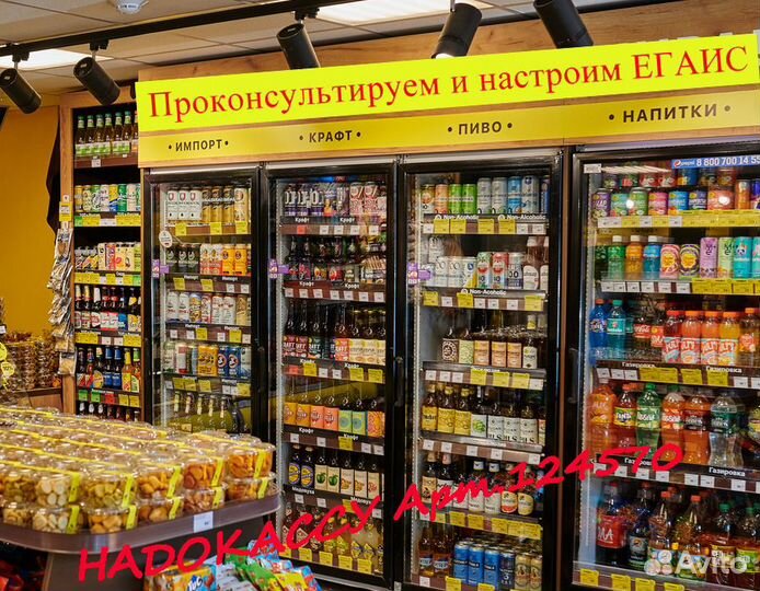 Егаис, настройка, помощь, обучение. арт 124571