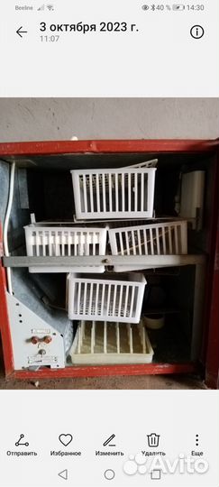 Инкубатор универсальный иу-100-1