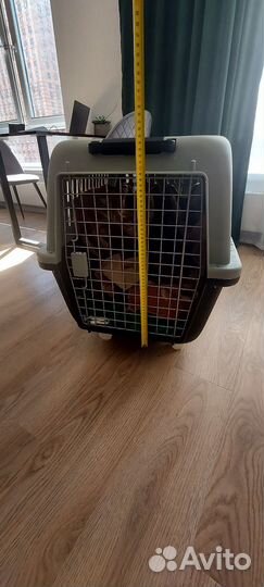 Контейнер для перевозки собак