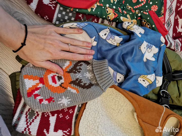 Одежда для животных, жилет, куртка для собак