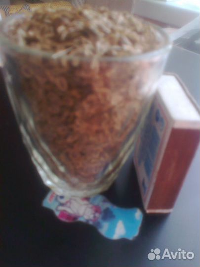 Семена сладкого гороха, красной свеклы,тыквы.укроп