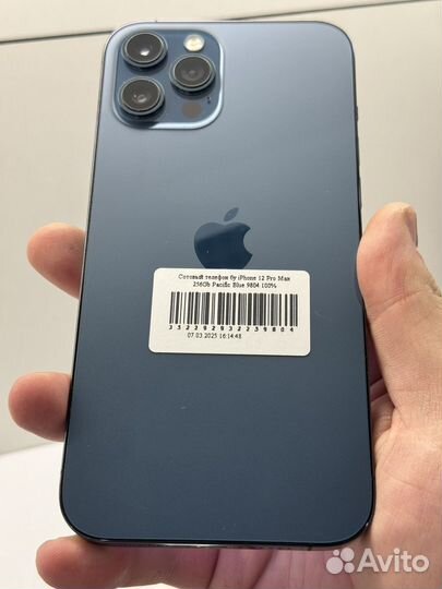 iPhone 12 Pro Max, 256 ГБ