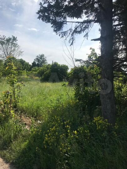 Участок 40 сот. (СНТ, ДНП)
