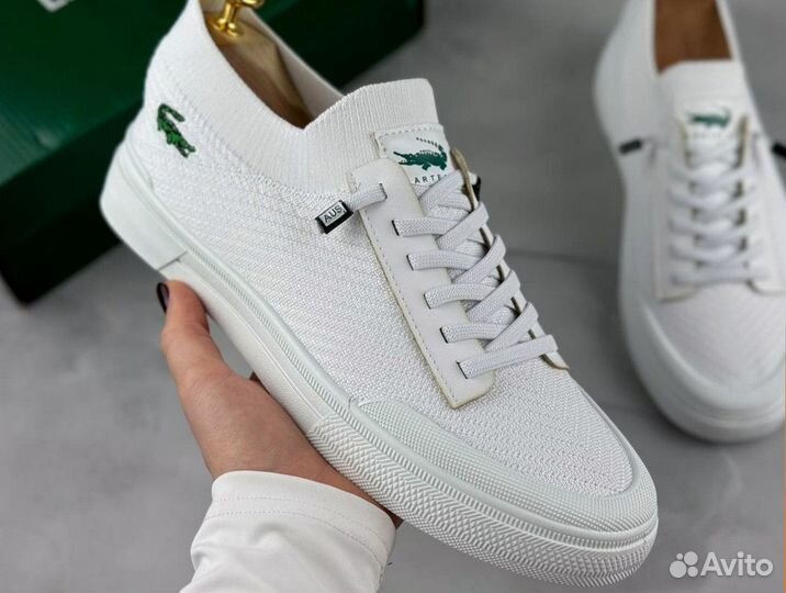 Мужские летние кеды Lacoste