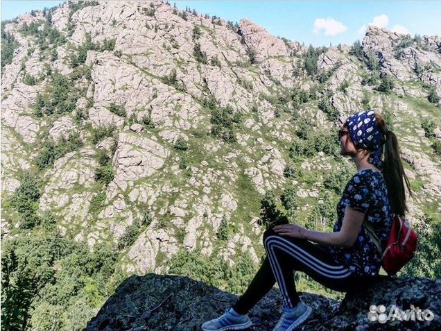 Высокогорные растения душица синеголовик