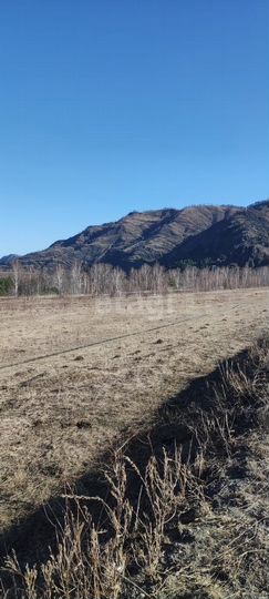 Участок 20 сот. (СНТ, ДНП)