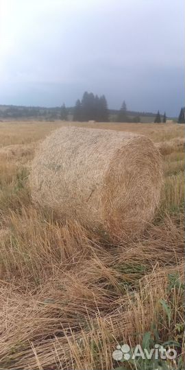 Солома в рулонах