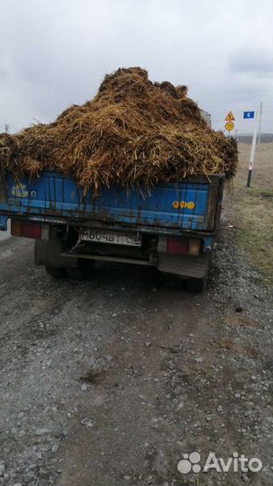 Навоз
