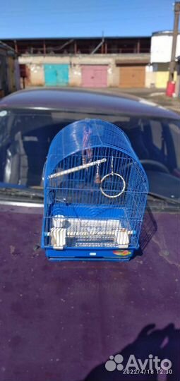 Клетка для попугая бу
