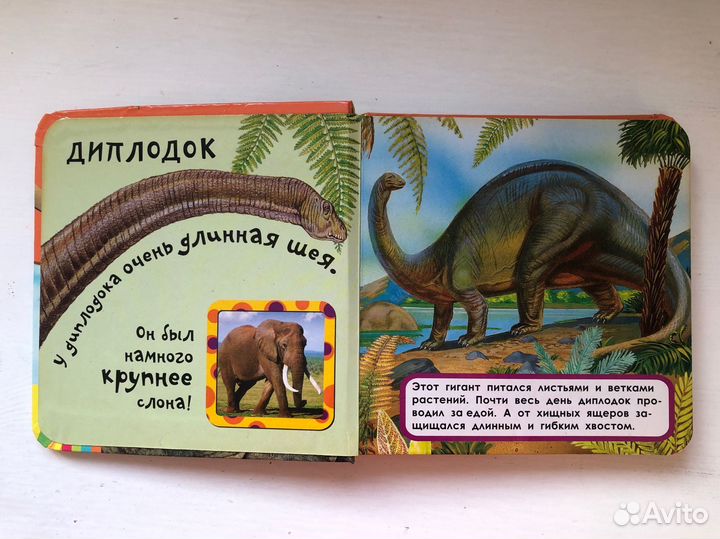 Книга детская Динозавры, серия Мои первые книжки