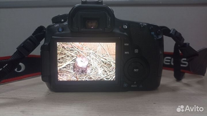 Фотоаппарат canon 60d