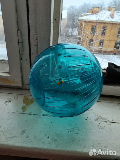 Шар для грызунов