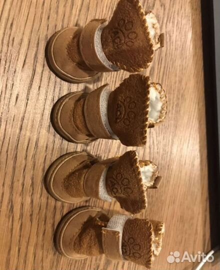 Обувь для меленьких пород собак