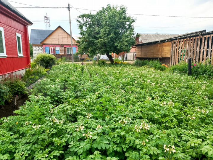 Дом 49 м² на участке 11 сот.