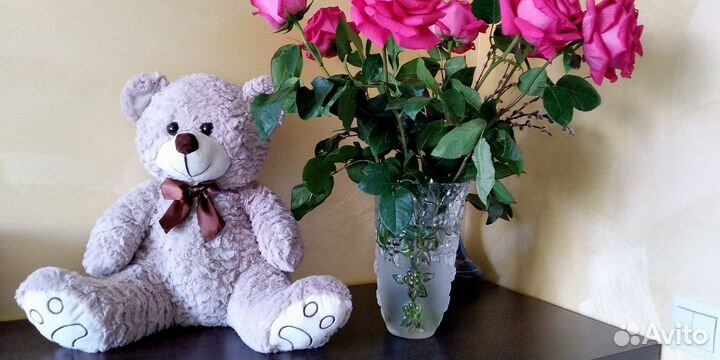 Плюшевый медведь новый