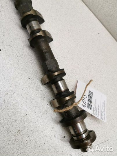 Распредвал. Nissan Skyline V35 VQ25DD