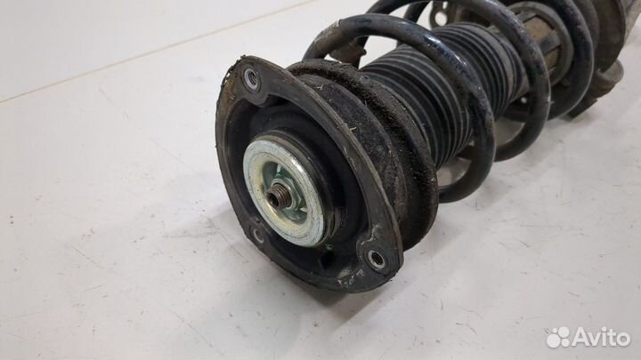 Амортизатор подвески Volkswagen Passat 8 2015, 2016