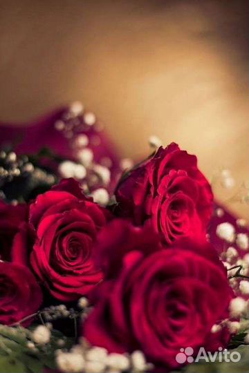 Цветы розы букет