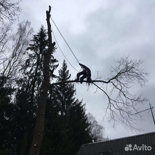 Удаление спил деревьев в СНТ и поселках