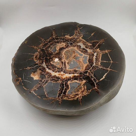 Две половинки септарии (27,5 см) / Минералы