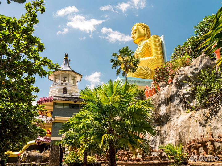 Поездка на Sri-Lanka на 7 нч за двоих человек